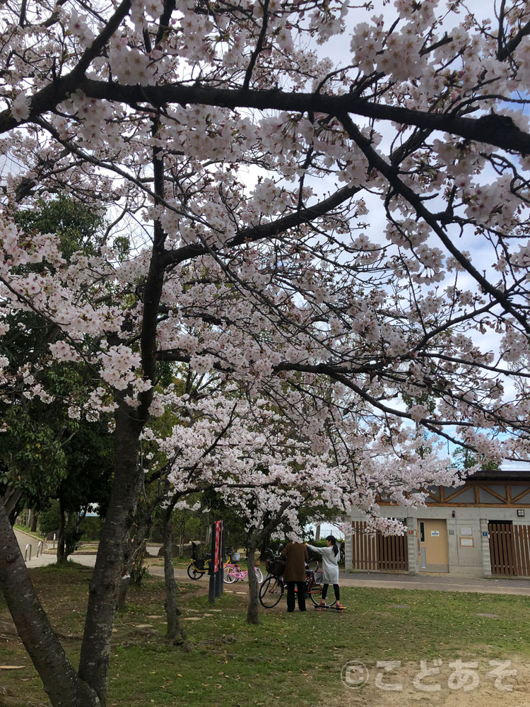 舟渡池公園【堺市美原区】