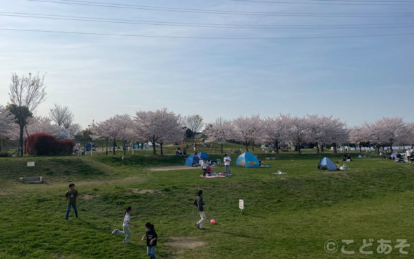 石川河川公園【大阪府羽曳野市】