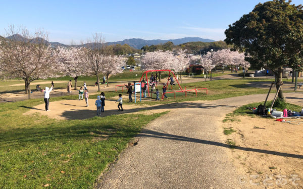 石川河川公園【大阪府羽曳野市】