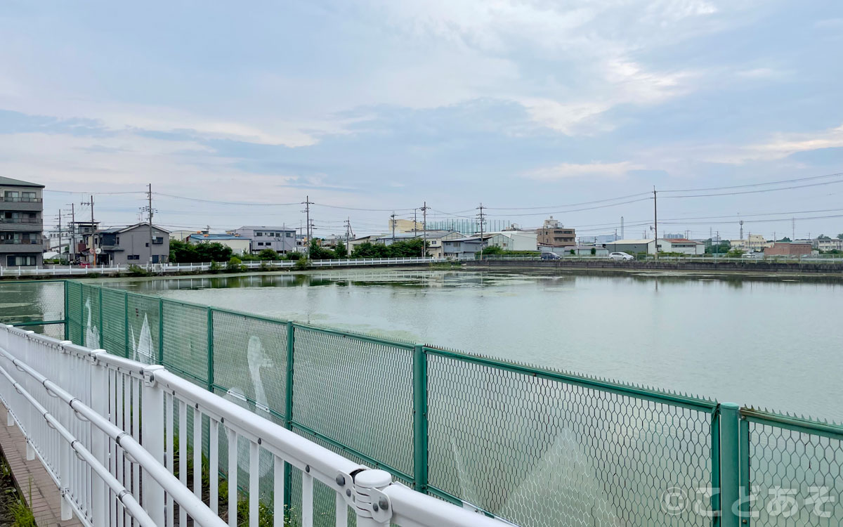 河合古池公園【大阪府松原市】