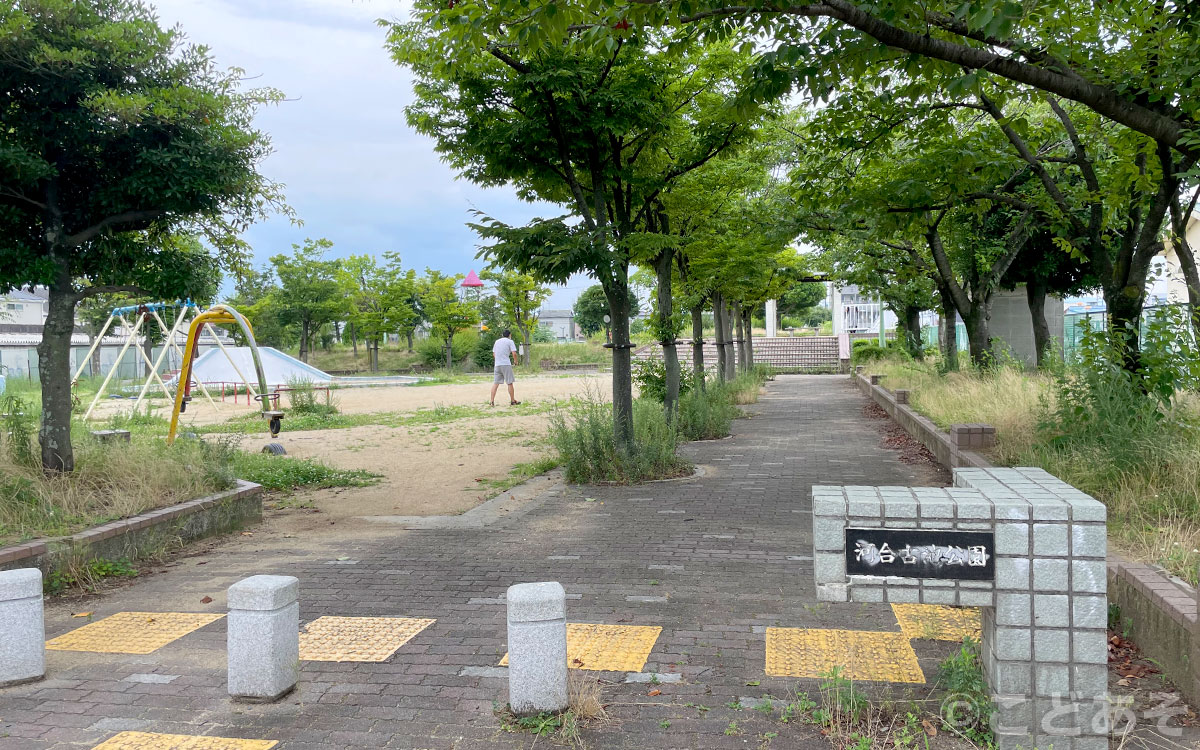 河合古池公園【大阪府松原市】