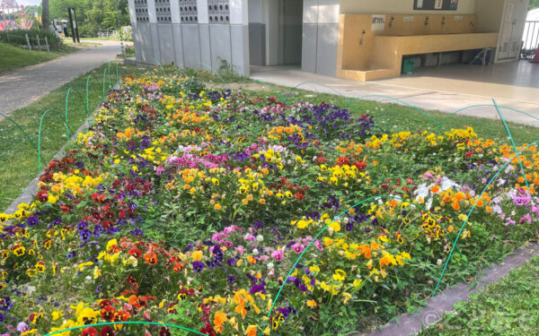 道の駅 しらとりの郷・羽曳野【大阪府羽曳野市】